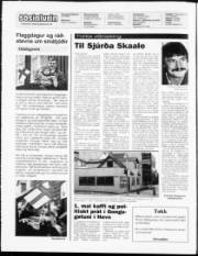Síða 2