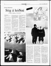 Síða 14