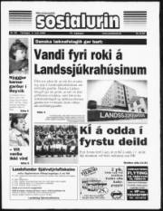 Síða 1
