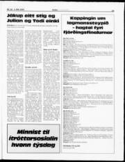 Síða 19
