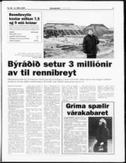Síða 3