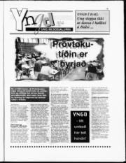 Síða 15