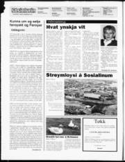 Síða 2