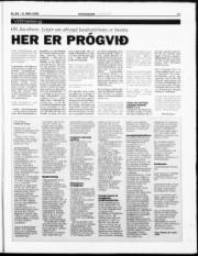 Síða 17