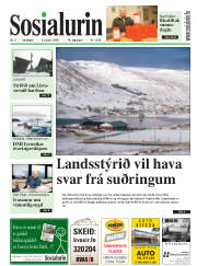 Síða 1