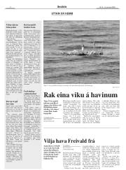 Síða 2