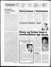 Síða 2