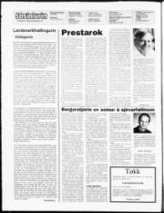 Síða 2