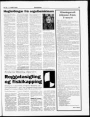 Síða 19