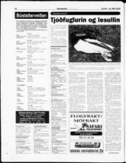 Síða 28