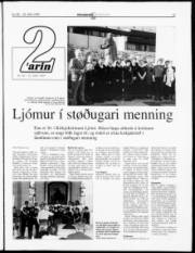 Síða 13