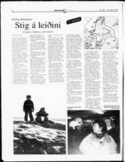 Síða 14