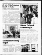 Síða 17