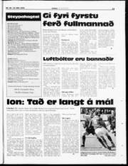 Síða 23