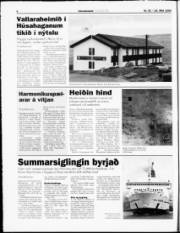 Síða 6
