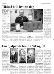 Síða 20