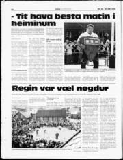 Síða 22