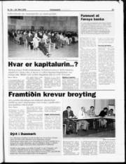 Síða 23