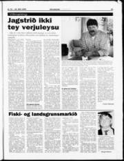 Síða 25