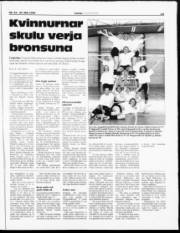 Síða 19