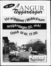 Síða 11