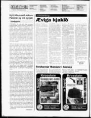 Síða 2