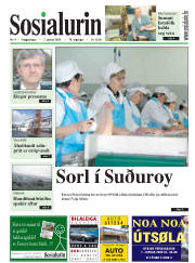 Síða 1
