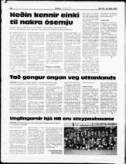 Síða 28