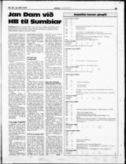 Síða 29