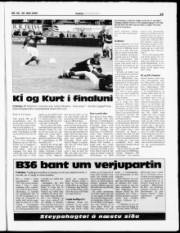 Síða 19