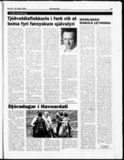 Síða 23