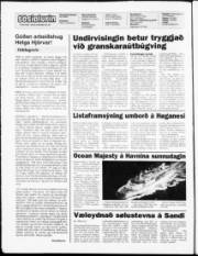 Síða 2