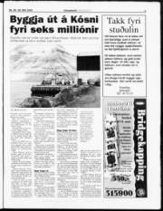Síða 3