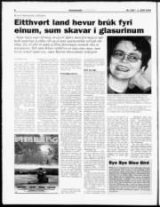 Síða 8