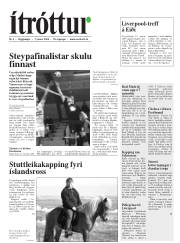 Síða 19