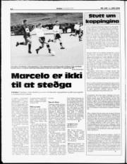 Síða 14