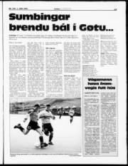Síða 15