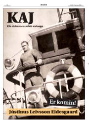 Síða 20
