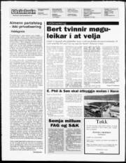 Síða 2