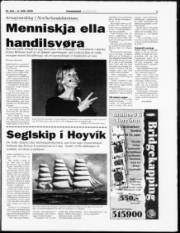 Síða 3