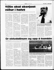 Síða 14
