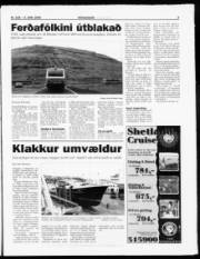Síða 3