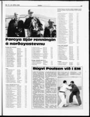 Síða 17