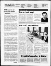 Síða 2
