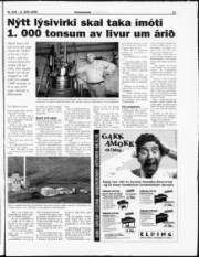Síða 11