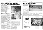 Síða 3