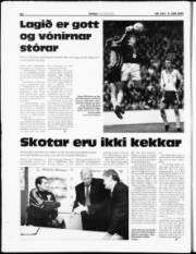 Síða 22