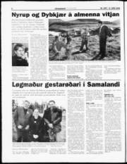 Síða 6