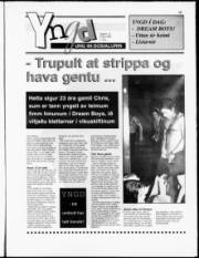 Síða 13