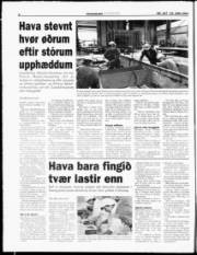 Síða 4
